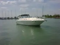 Sea Ray Sundancer 