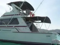 Bertram 42 