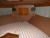 Bertram 42 