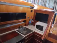 Bertram 42 