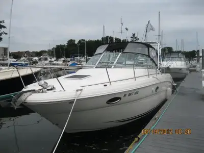 Sea Ray Amberjack