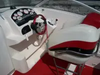 Rinker 262 SS 