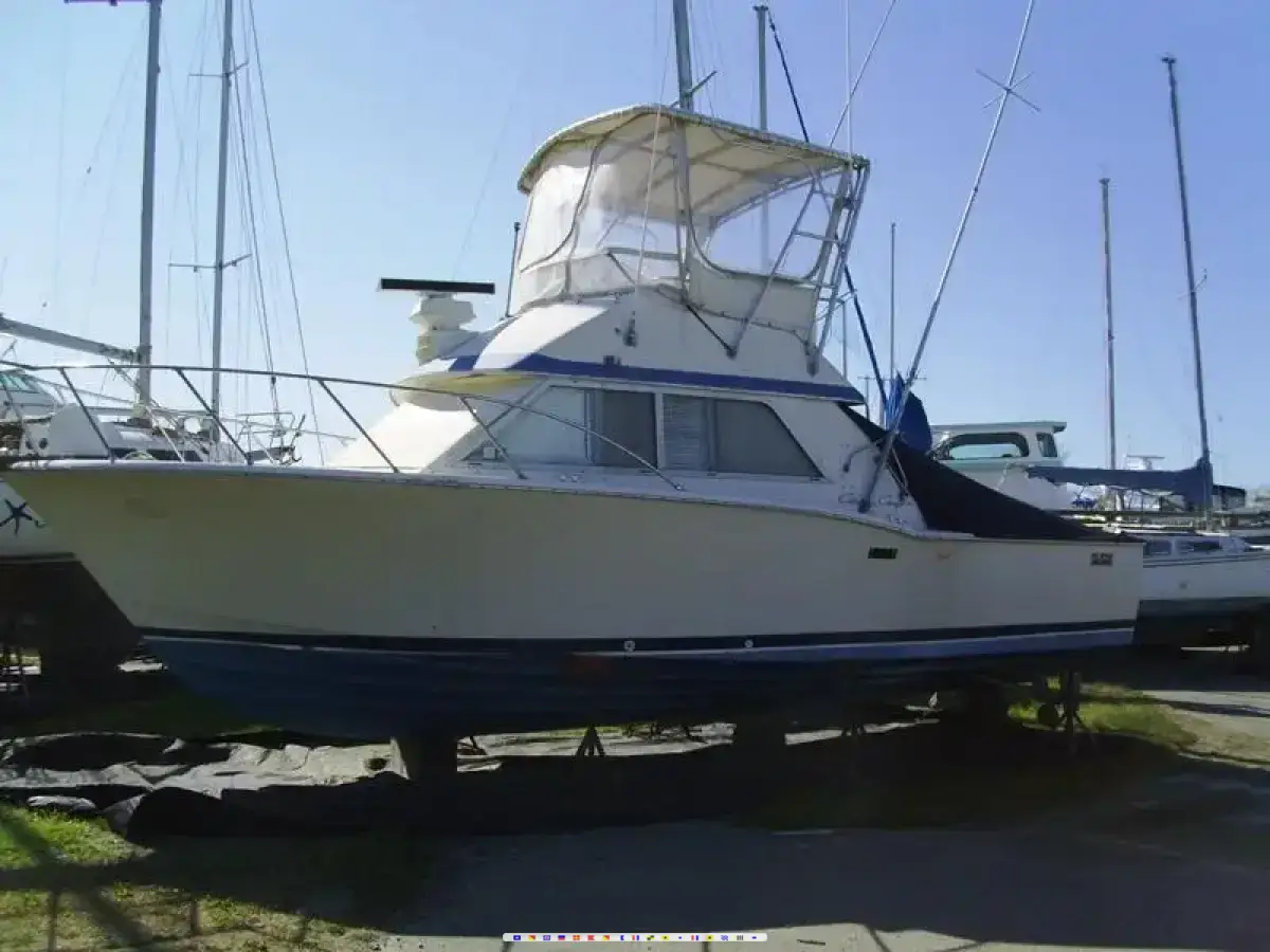 Chris Craft Tournament Sport Fish 
