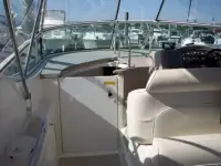 Cruisers 3075 Express