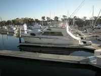 Hatteras convertable sport fisher 