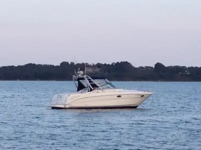 Sea Ray Amberjack 290