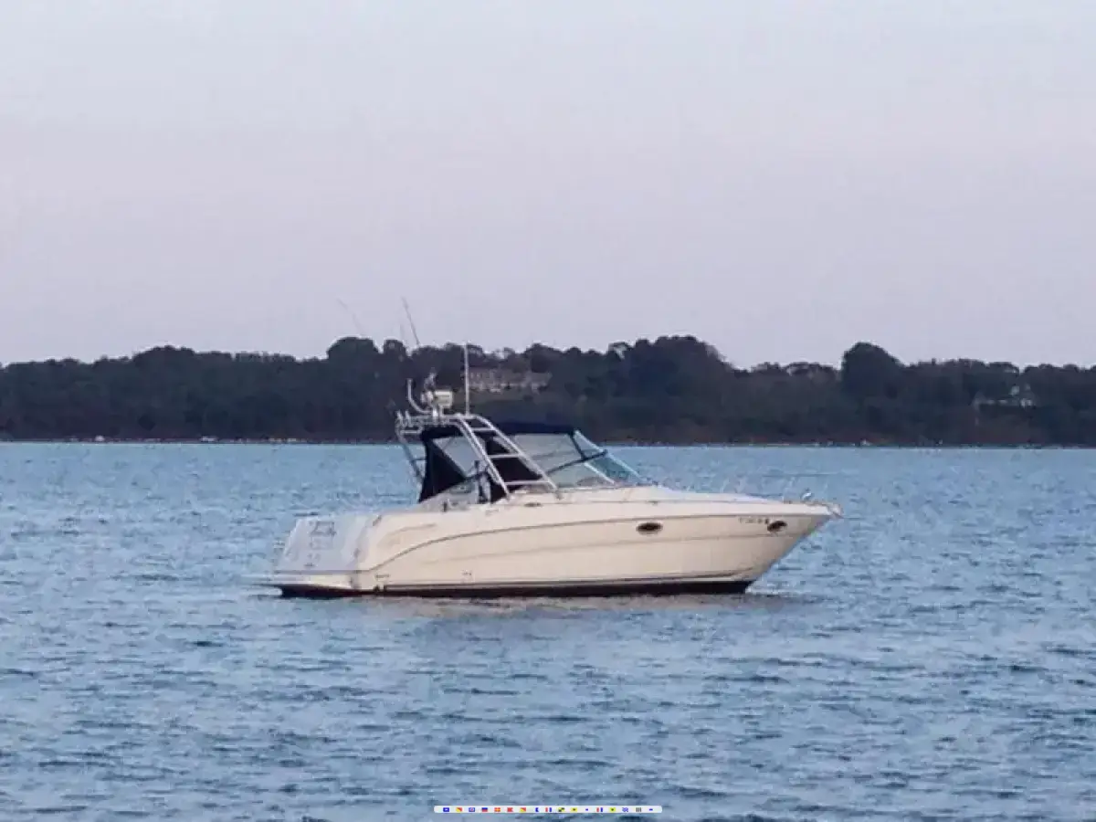 Sea Ray Amberjack 290 Sea Ray Amberjack 290