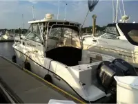 Seaswirl Striper 2901 
