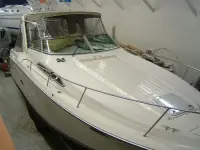 Regal 300 Commodore 