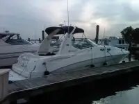Sea Ray Sundancer 320 