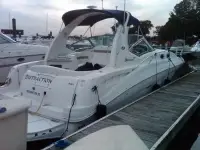 Sea Ray Sundancer 320