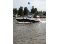 Sea Ray Amberjack 