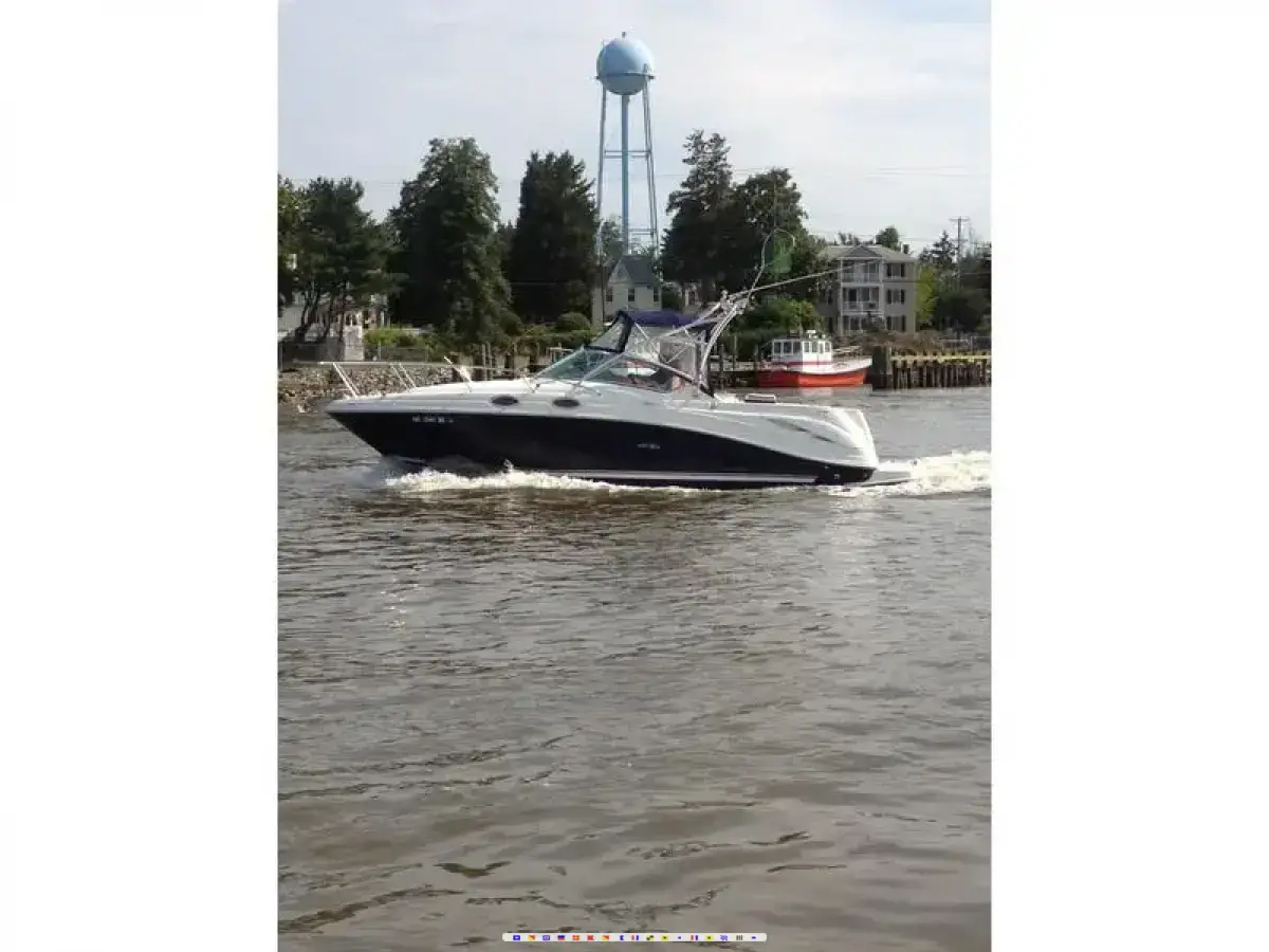 Sea Ray Amberjack Sea Ray Amberjack