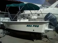 Sea Pro 