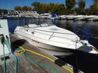 Larson 254 Cabrio 