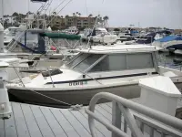 Bayliner Trophy Hardtop 