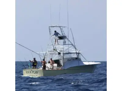 36 express 36 