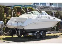 Sea Ray Sundancer 