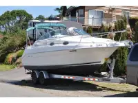 Sea Ray Sundancer 