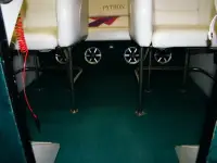 Python SNAKE ATTACK 