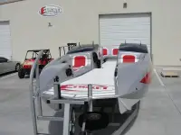 E-Ticket Luxury Cat 29