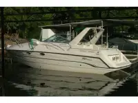 Chaparral Signature 310 