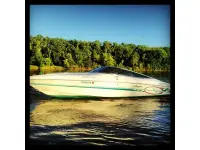 Baja Boss 22 