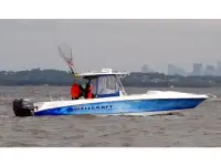 Wellcraft Scarab Sport 352 