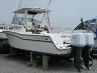Grady White Marlin 