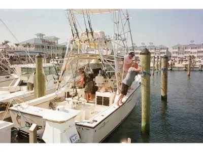 Albemarle 305