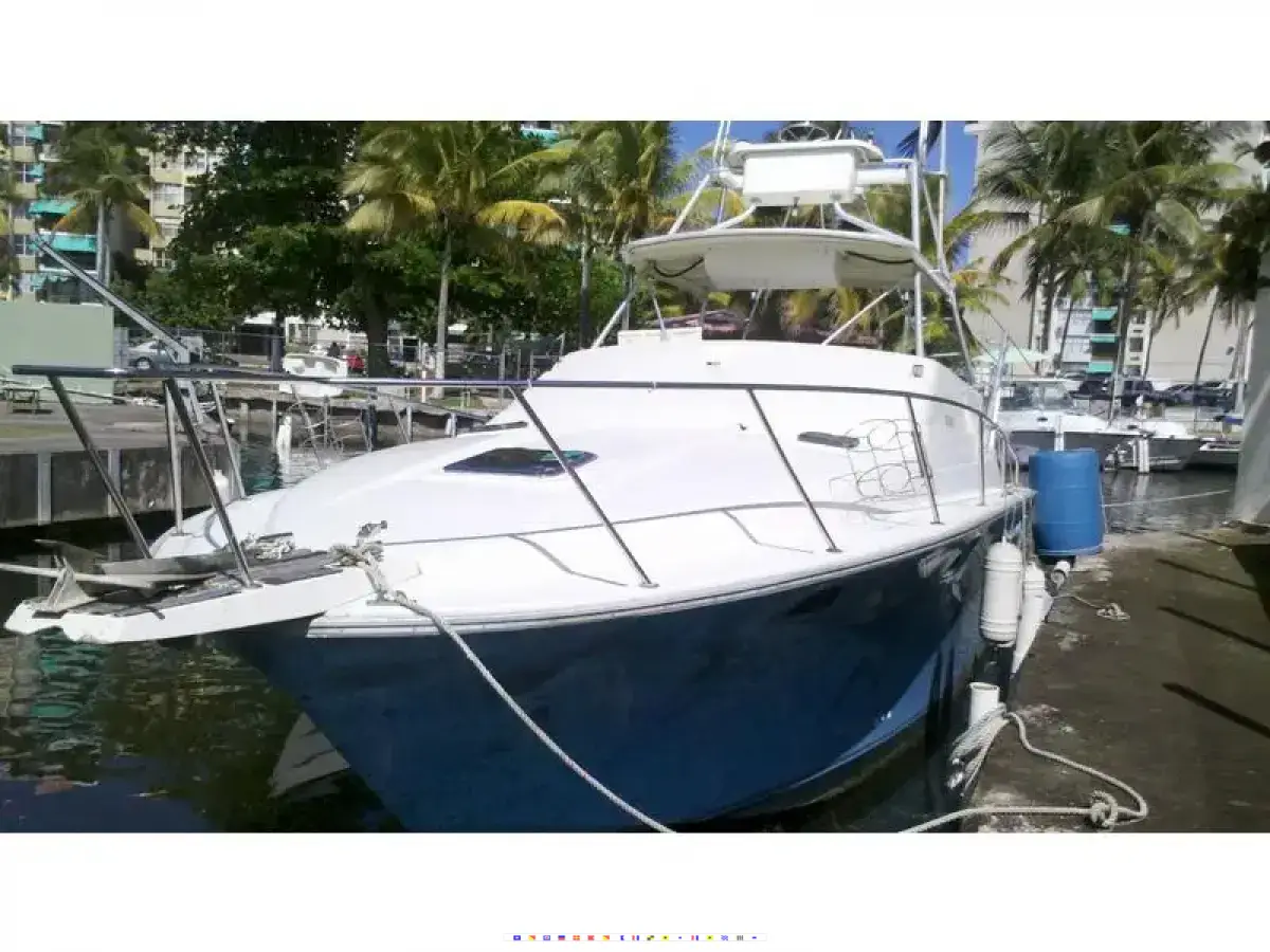 Luhrs Open 