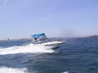 Sea Ray