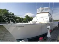 Sportfisherman 50 