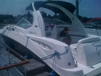 Sea Ray Sundancer 320 