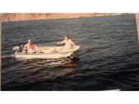 Boston Whaler Fishing Tender 