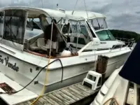 Sea Ray Express Cruiser 