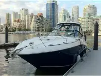 Sea Ray Sundancer 310 