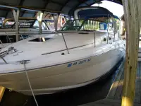 Sea Ray Sundancer 300DL 