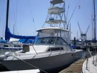 Wellcraft 2800 Coastal 