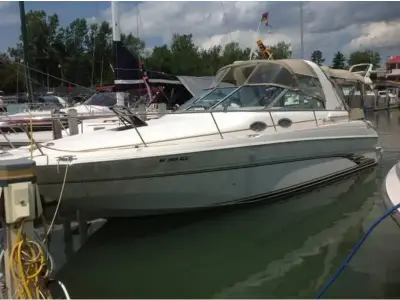 Sea Ray Sundancer 290