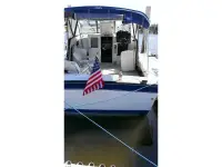 Chris Craft Catalina 281 