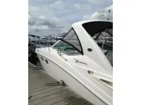 Sea Ray Sundancer 290 