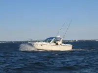 Tiara 3100 Open 