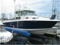 Seaswirl 2901 Pilothouse Sport Fisherman 