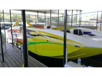 Advantage Party Cat TRX 34 