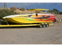 Advantage Party Cat TRX 34 