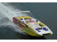 Advantage Party Cat TRX 34 