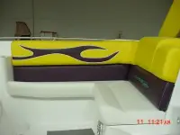 Advantage Party Cat TRX 34 