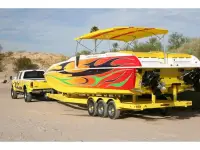 Advantage Party Cat TRX 34 