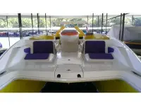 Advantage Party Cat TRX 34 